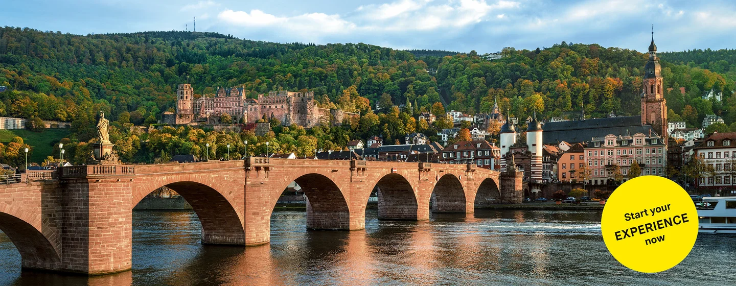 Motiv: Staaliche Schlösser und Gärten Baden-Württemberg, Illustration: JUNG:Kommunikation GmbH Heidelberg Castle, advertising banner for the app "Monument BW"